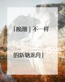晚潮｜不一样的新塘龙舟